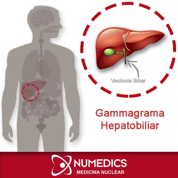 Gammagrama Hepatobiliar